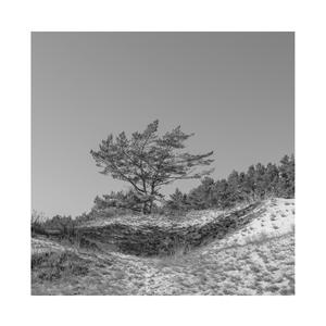 美女被操的声音
